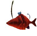Fish Link Central